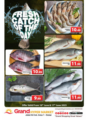 Catch of The Day - Grand Hypermarket Jebel Ali