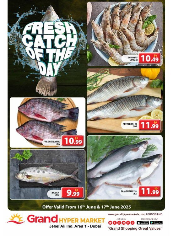 Catch of The Day - Grand Hypermarket Jebel Ali