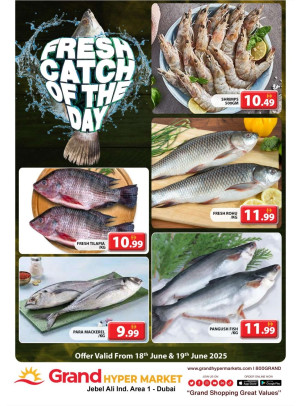 Catch of The Day - Grand Hypermarket Jebel Ali