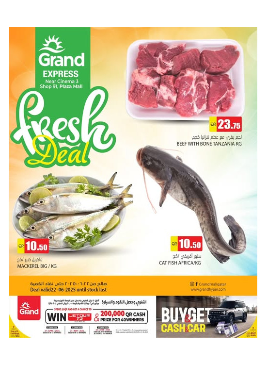 Fresh Deal - Plaza Mall, Asian Town