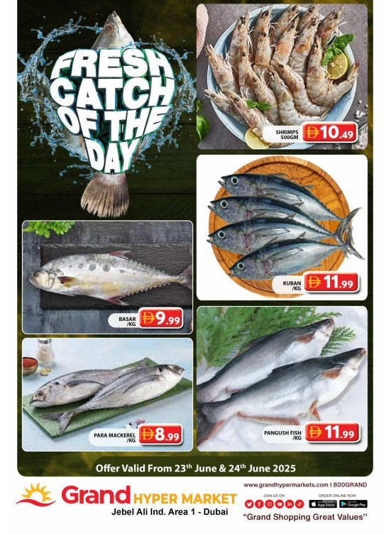 Catch of The Day - Grand Hypermarket Jebel Ali