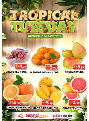 Fruitilicious Tuesday - Grand Mall Sharjah