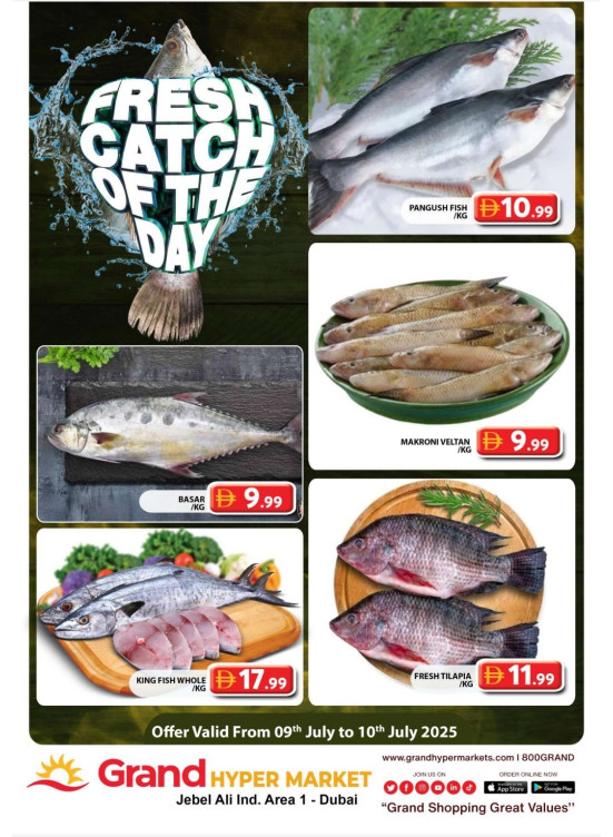 Catch of The Day - Grand Hypermarket Jebel Ali