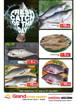 Catch of The Day - Grand Hypermarket Jebel Ali