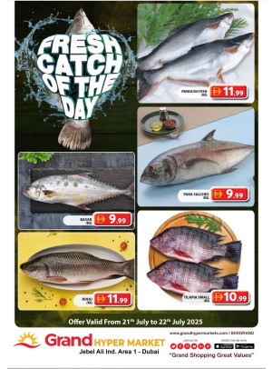 Catch of The Day - Grand Hypermarket Jebel Ali