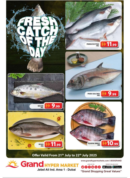 Catch of The Day - Grand Hypermarket Jebel Ali