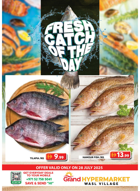 Catch of The Day - Wasl Village, Dubai