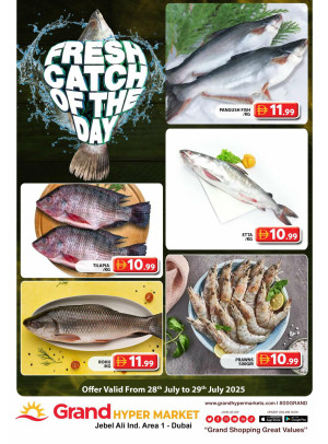 Catch of The Day - Grand Hypermarket Jebel Ali