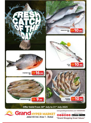 Catch of The Day - Grand Hypermarket Jebel Ali