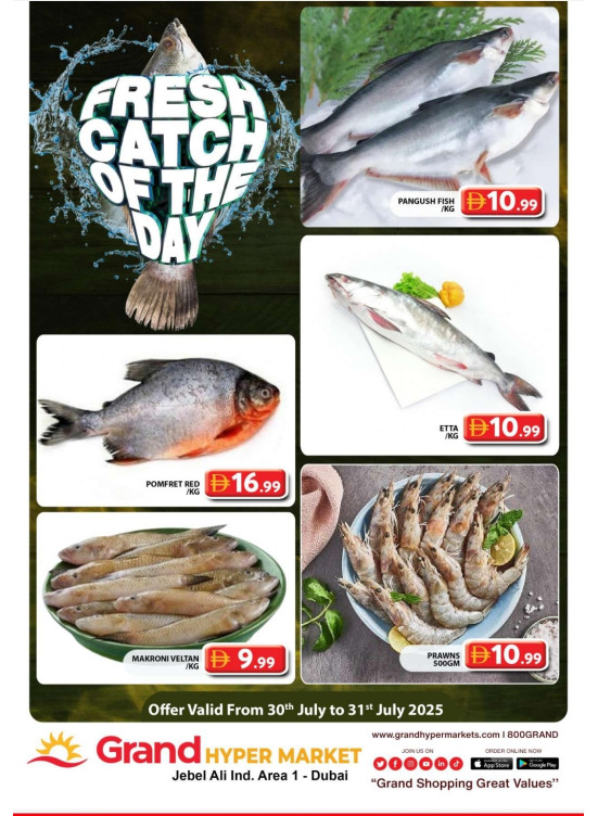 Catch of The Day - Grand Hypermarket Jebel Ali