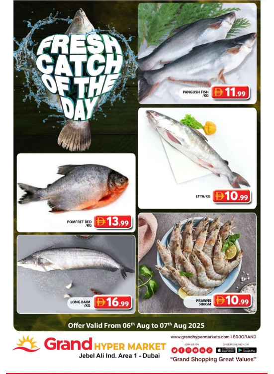 Catch of The Day - Grand Hypermarket Jebel Ali