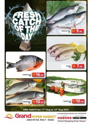 Catch of The Day - Grand Hypermarket Jebel Ali