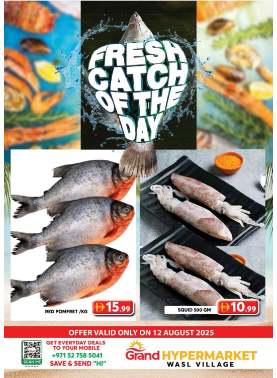 Catch of The Day - Wasl Village, Dubai