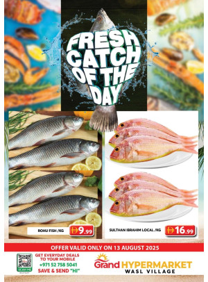 Catch of The Day - Wasl Village, Dubai