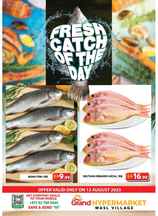 Catch of The Day - Wasl Village, Dubai