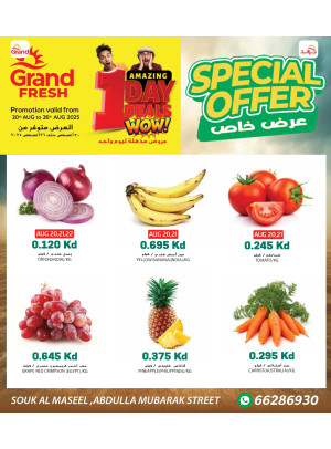 Special Offer - Souk Al Massel
