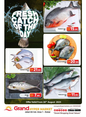 Catch of The Day - Grand Hypermarket Jebel Ali