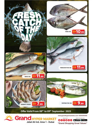 Catch of The Day - Grand Hypermarket Jebel Ali