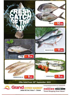 Catch of The Day - Grand Hypermarket Jebel Ali