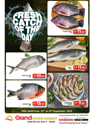 Catch of The Day - Grand Hypermarket Jebel Ali