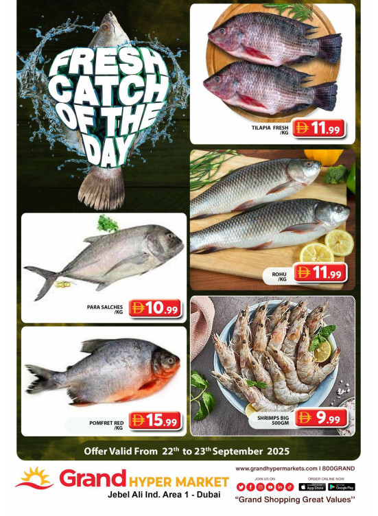 Catch of The Day - Grand Hypermarket Jebel Ali