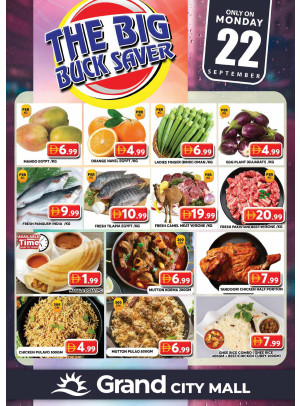 The Big Buck Saver - Grand City Mall