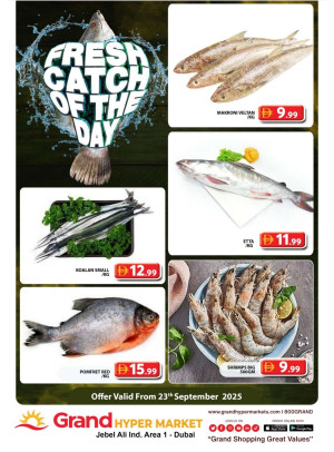 Catch of The Day - Grand Hypermarket Jebel Ali