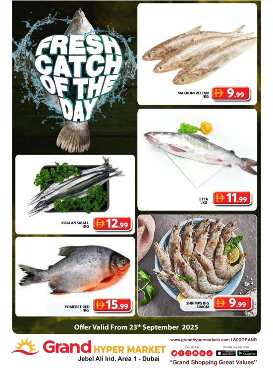 Catch of The Day - Grand Hypermarket Jebel Ali