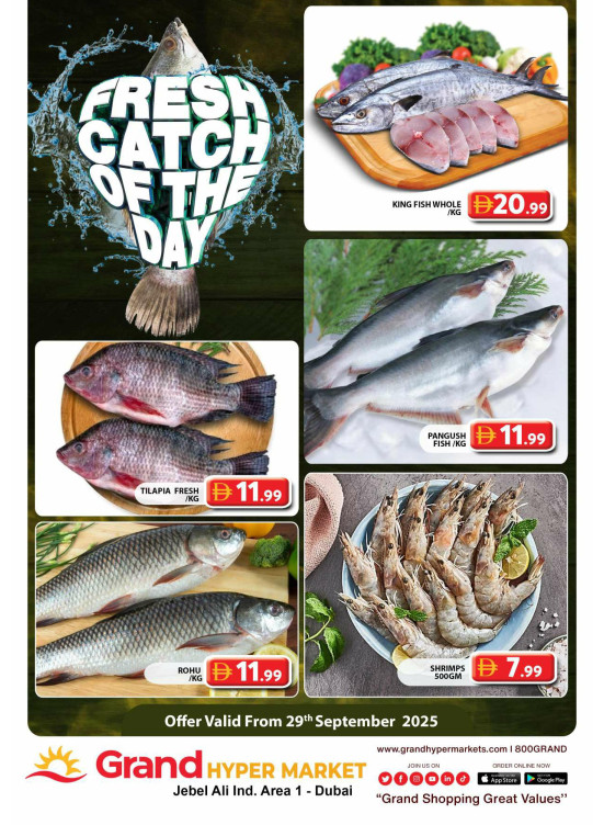 Catch of The Day - Grand Hypermarket Jebel Ali