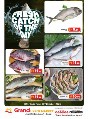 Catch of The Day - Grand Hypermarket Jebel Ali