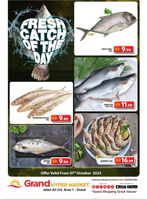 Catch of The Day - Grand Hypermarket Jebel Ali