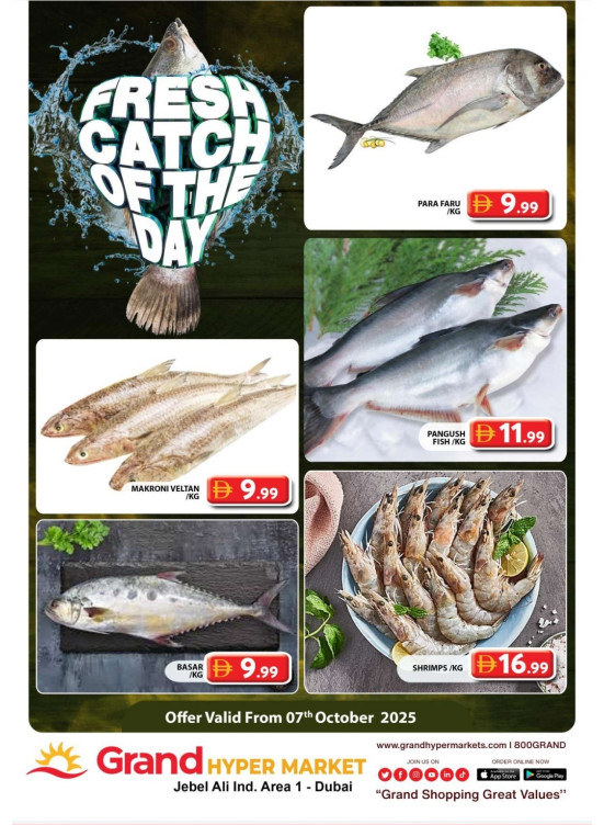 Catch of The Day - Grand Hypermarket Jebel Ali