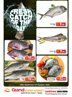 Catch of The Day - Grand Hypermarket Jebel Ali