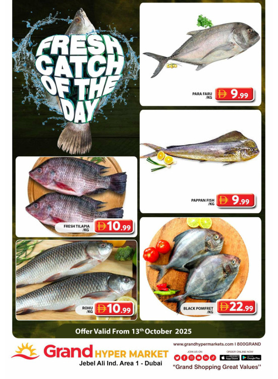 Catch of The Day - Grand Hypermarket Jebel Ali