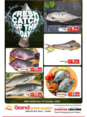 Catch of The Day - Grand Hypermarket Jebel Ali