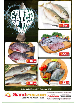 Catch of The Day - Grand Hypermarket Jebel Ali