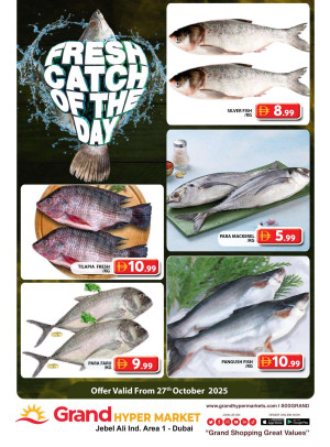 Catch of The Day - Grand Hypermarket Jebel Ali