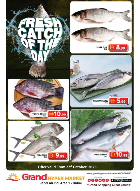 Catch of The Day - Grand Hypermarket Jebel Ali