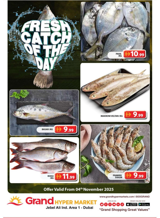 Catch of The Day - Grand Hypermarket Jebel Ali