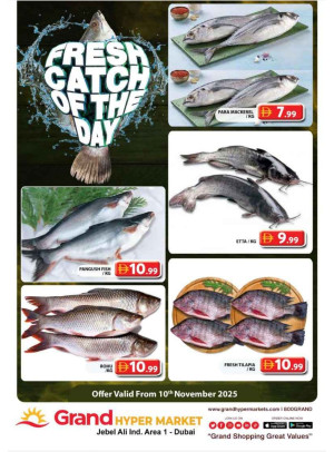 Catch of The Day - Grand Hypermarket Jebel Ali