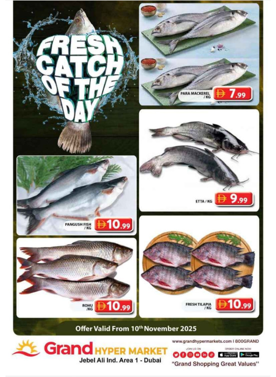 Catch of The Day - Grand Hypermarket Jebel Ali