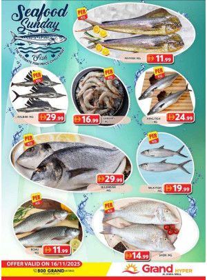 عروض الأسماك الطازجة - جراند هايبر الخيل مول