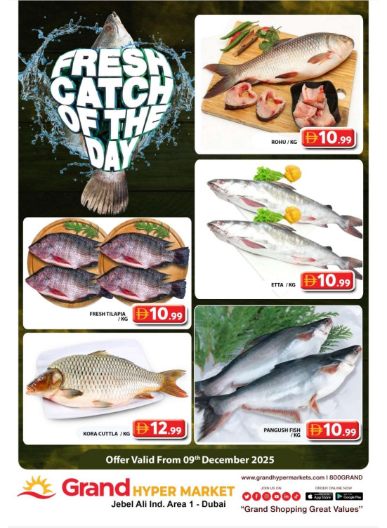 Catch of The Day - Grand Hypermarket Jebel Ali