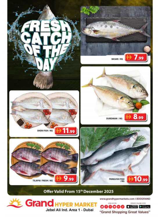 Catch of The Day - Grand Hypermarket Jebel Ali