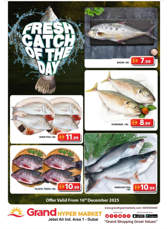 Catch of The Day - Grand Hypermarket Jebel Ali