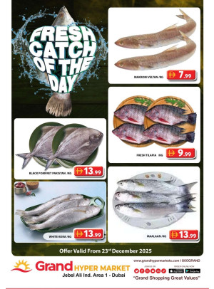 Catch of The Day - Grand Hypermarket Jebel Ali