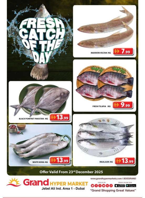 Catch of The Day - Grand Hypermarket Jebel Ali