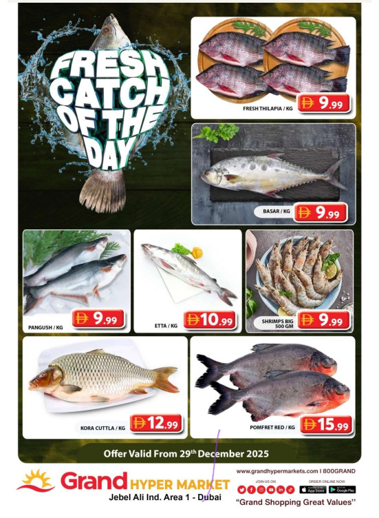 Catch of The Day - Grand Hypermarket Jebel Ali