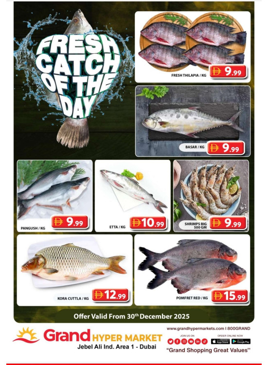 Catch of The Day - Grand Hypermarket Jebel Ali