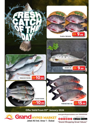 Catch of The Day - Grand Hypermarket Jebel Ali